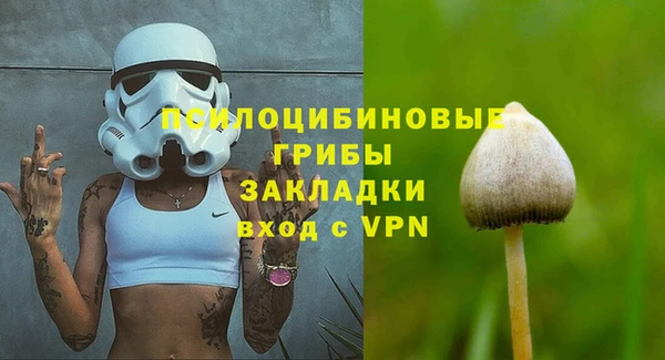 амф Абдулино